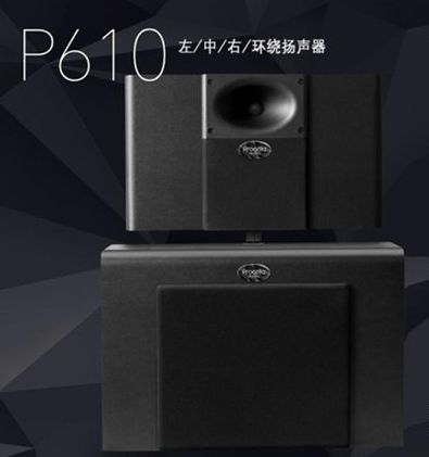 Procella Audio 宝仙娜P610 全频主/环绕声道